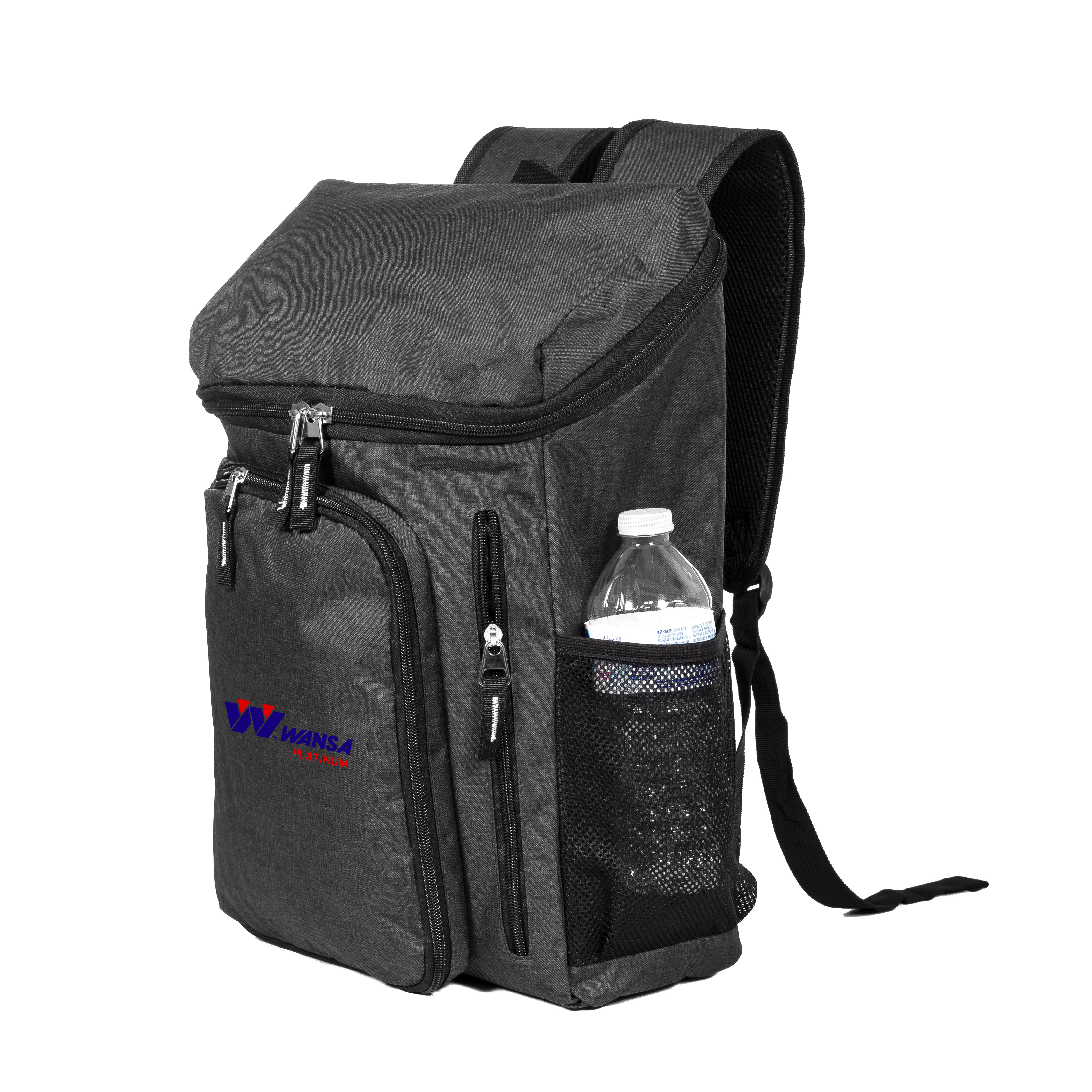 ASPEN DELUXE COMPUTER BACKPACK